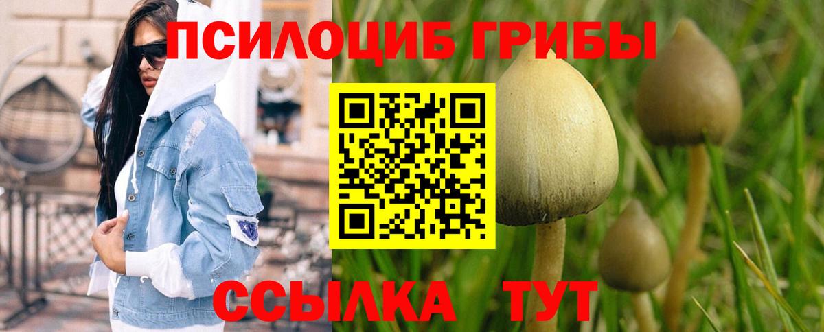 где купить   Галлюциногенные грибы ЛСД  Вход с VPN  Нефтекамск 